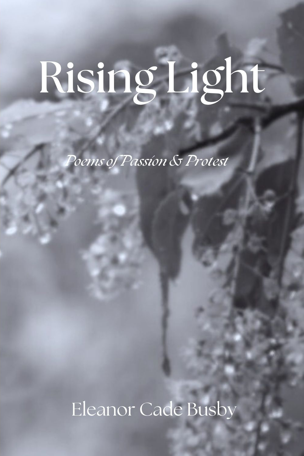 Rising Light: Poems of Protest & Passion Rising Light: Poems of Protest & Passion